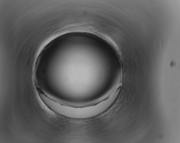 X0000094381528200711242011