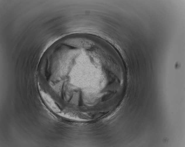 X0000094381529200711242011