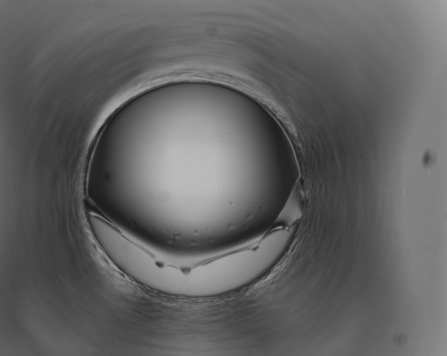X0000094381530200711242011