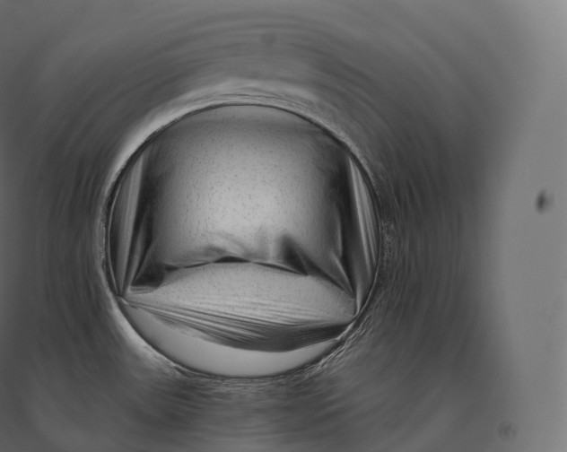 X0000094381531200711242011