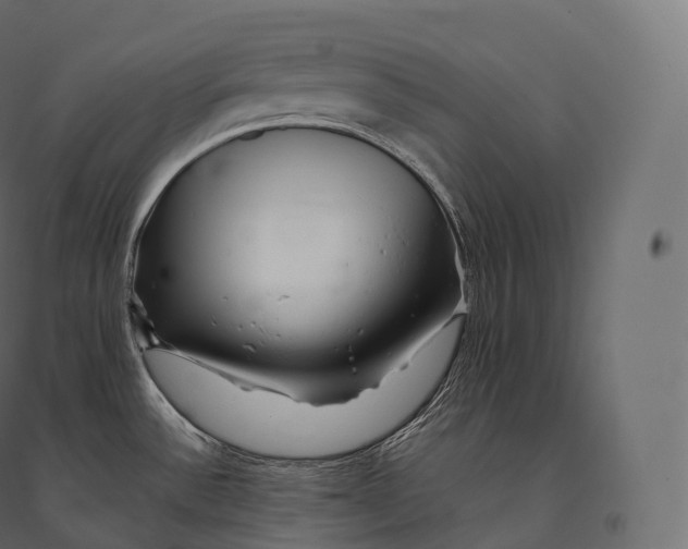 X0000094381532200711242011