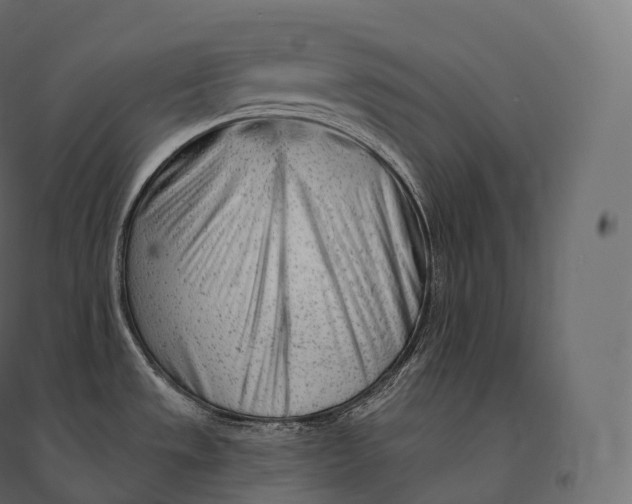 X0000094381533200711242011