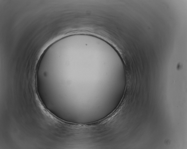 X0000094381534200711242011