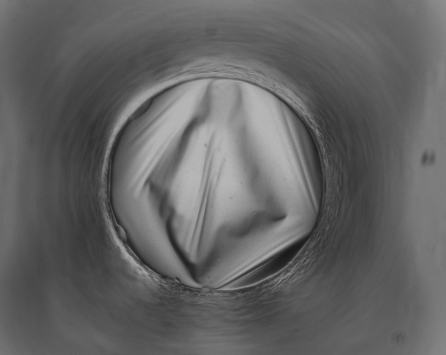 X0000094381536200711242011