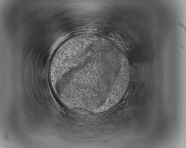 X0000094380003200711301410