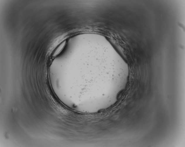 X0000094380005200711301410