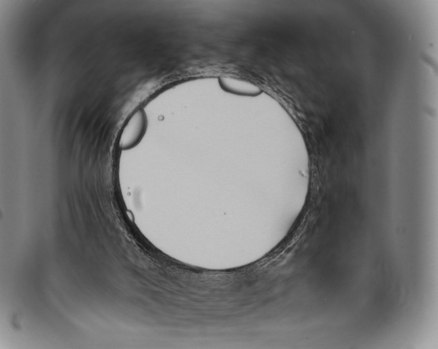 X0000094380008200711301410