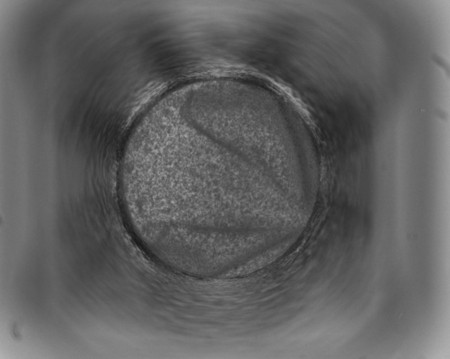 X0000094380010200711301410