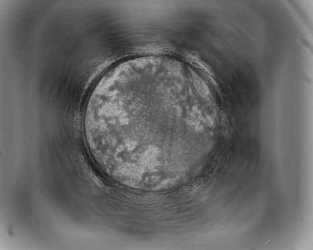 X0000094380012200711301410