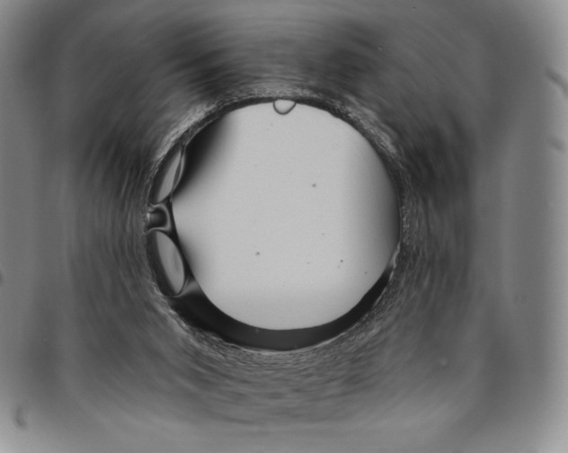 X0000094380015200711301410