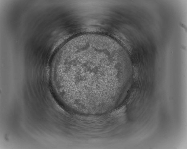 X0000094380016200711301410