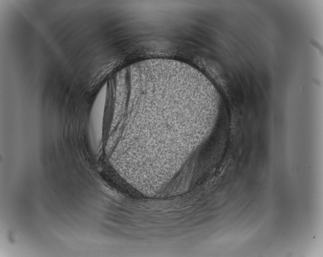 X0000094380017200711301410
