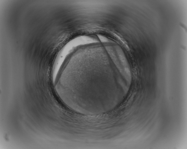 X0000094380018200711301410