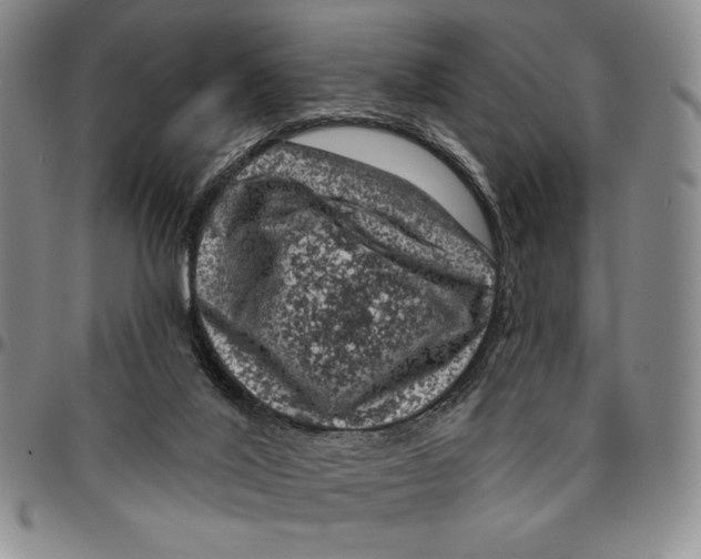 X0000094380020200711301410