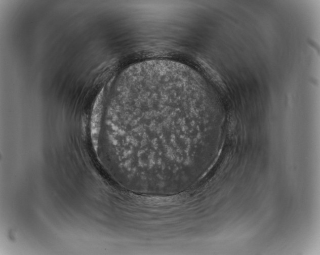 X0000094380026200711301410