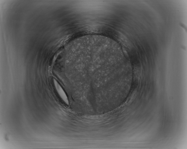 X0000094380029200711301410