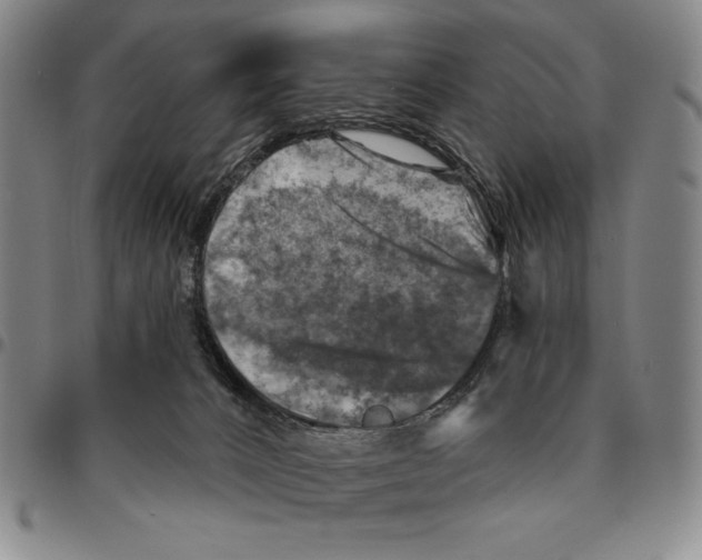 X0000094380032200711301410