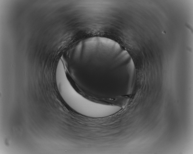 X0000094380039200711301410