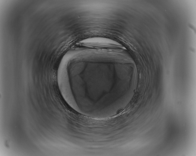 X0000094380048200711301410