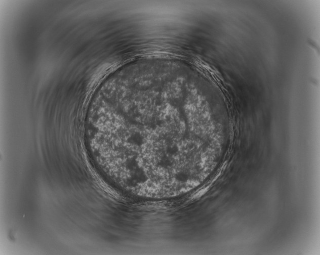 X0000094380049200711301409