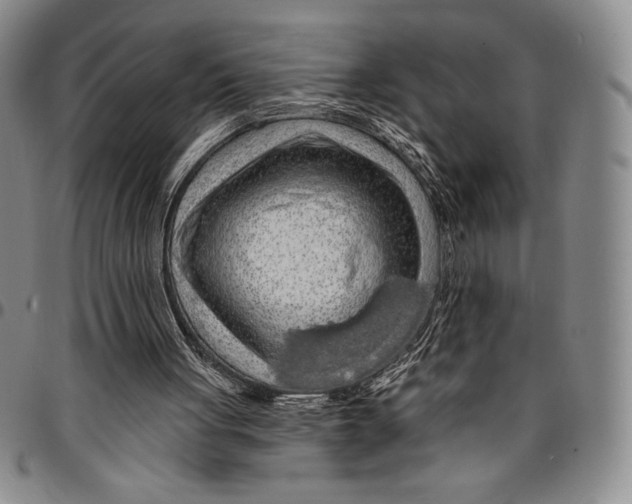 X0000094380051200711301409
