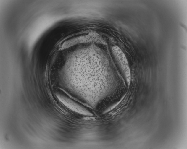 X0000094380052200711301409