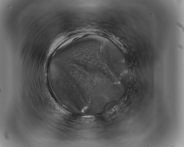 X0000094380053200711301409