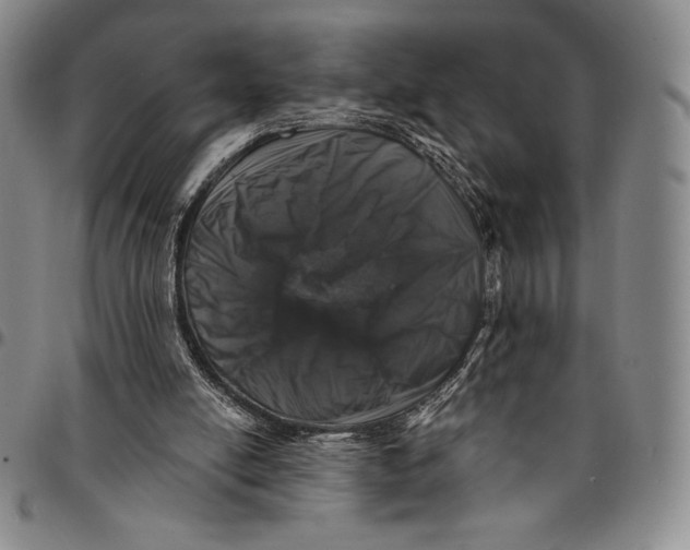 X0000094380054200711301409