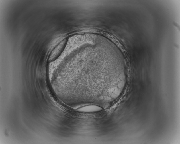 X0000094380055200711301409