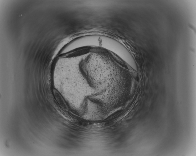 X0000094380056200711301409