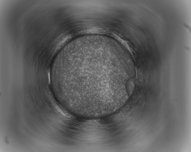 X0000094380061200711301409
