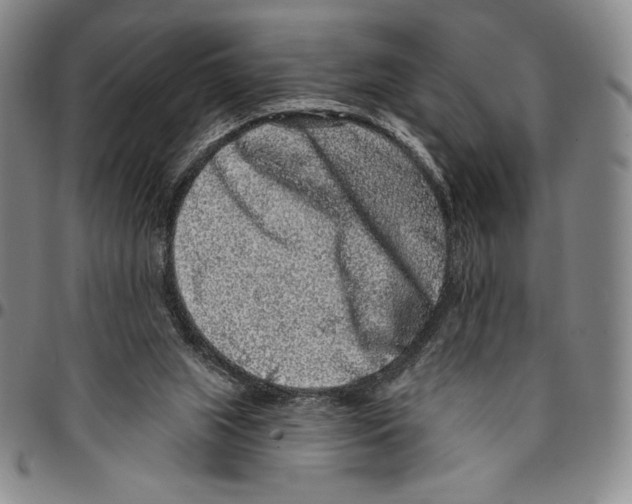 X0000094380063200711301409