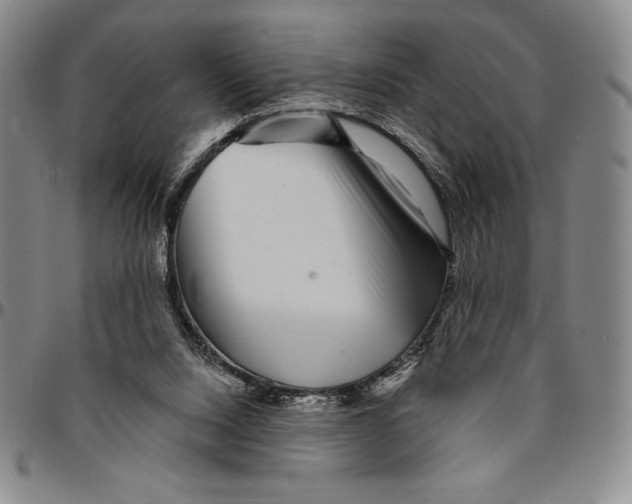 X0000094380064200711301409