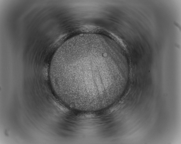 X0000094380065200711301409