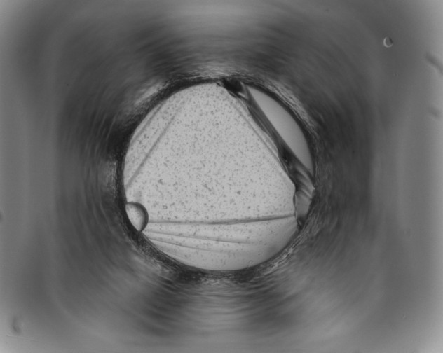 X0000094380066200711301409