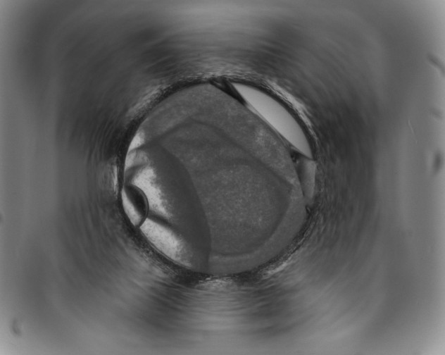 X0000094380067200711301409