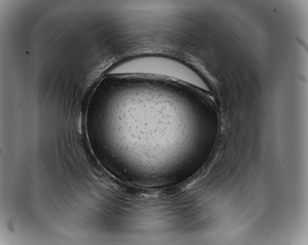 X0000094380068200711301409