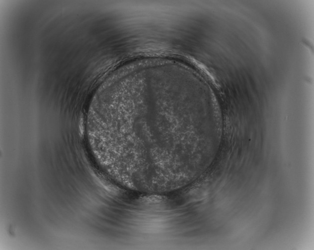 X0000094380069200711301409
