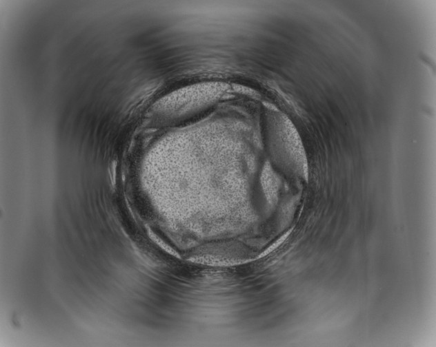 X0000094380070200711301409