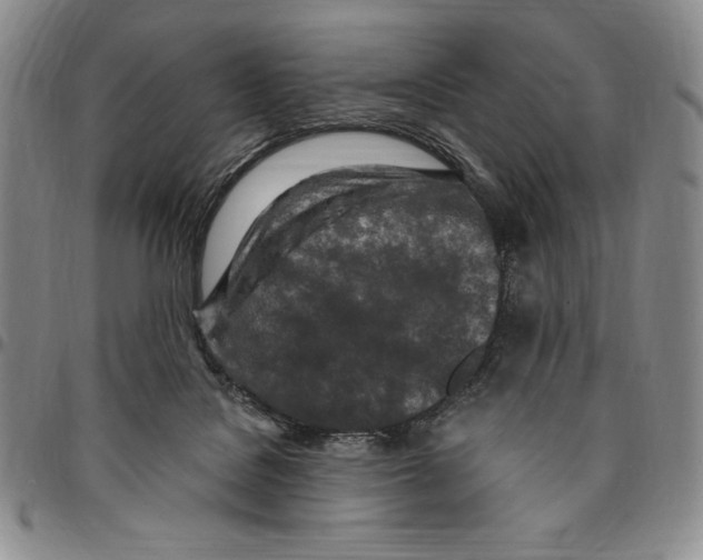 X0000094380076200711301409