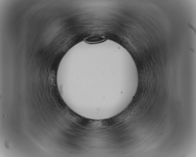 X0000094380083200711301410