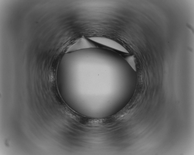 X0000094380084200711301410