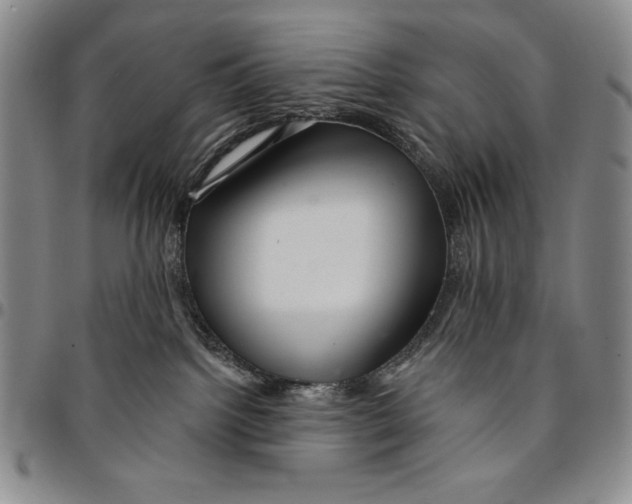 X0000094380092200711301410