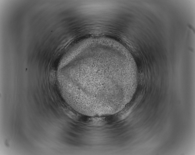X0000094380093200711301410