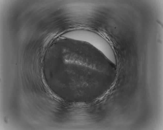 X0000094380097200711301409