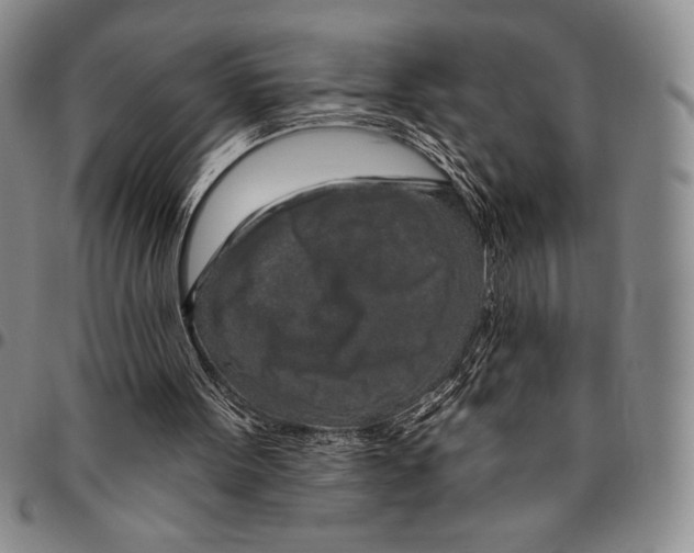 X0000094380099200711301409