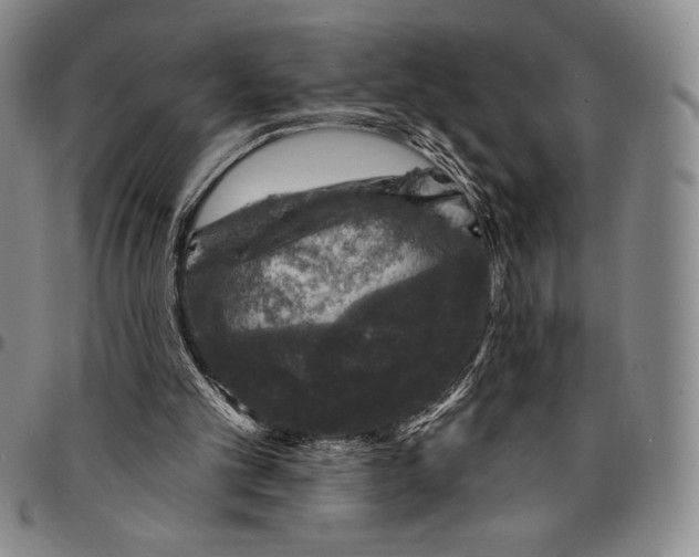 X0000094380101200711301409