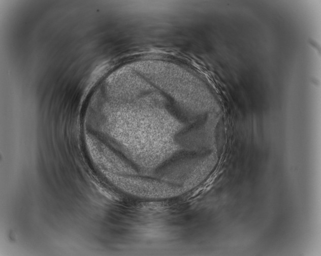 X0000094380102200711301409