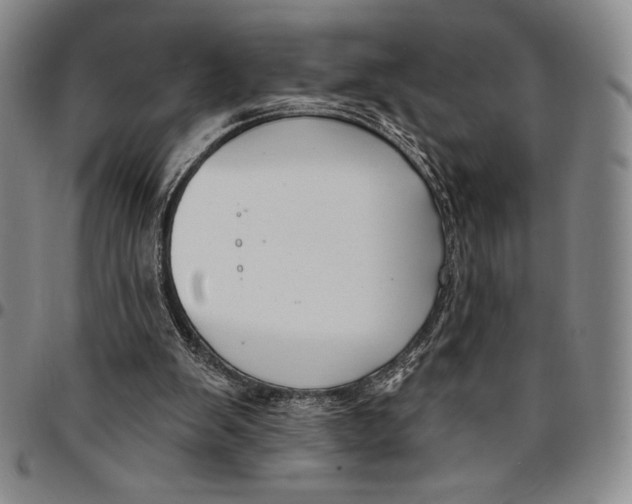 X0000094380103200711301409