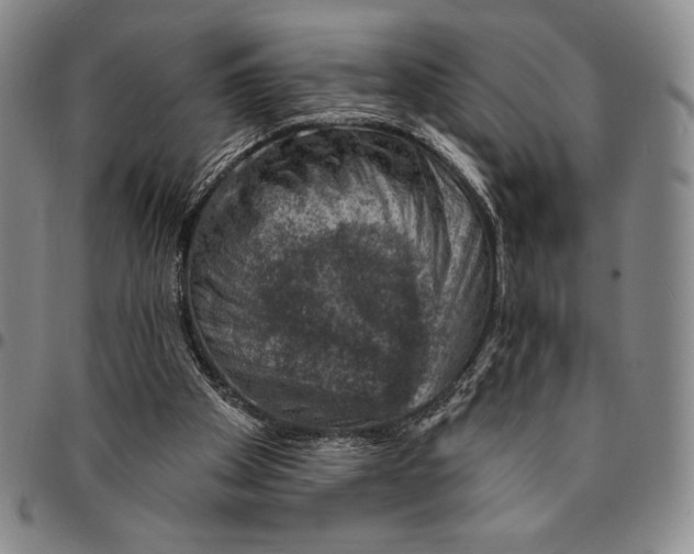 X0000094380105200711301409